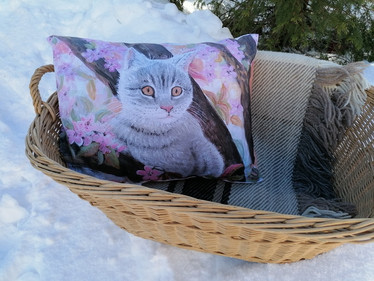 Tyynyliina, Kissa