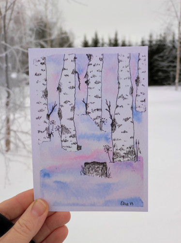 Talvikoivikko -postikortti