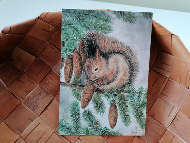 Taidekortti, Käpyorava