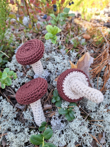 Virkattu Kangasrousku