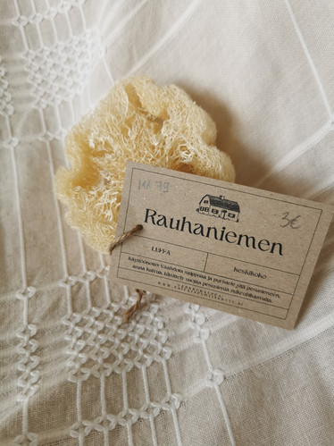 Luffa-pesusieni