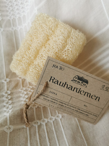 Luffa-pesusieni