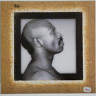 Taj Mahal: Taj