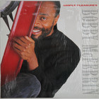 McFerrin Bobby: Simple Pleasures
