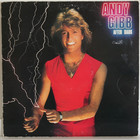 Gibb Andy: After Dark