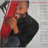 McFerrin Bobby: Simple Pleasures