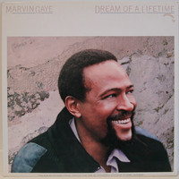 Gaye Marvin: Dream Of A Lifetime	