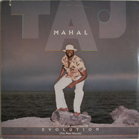 Taj Mahal: Evolution (The Most Recent)