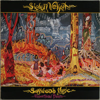 Sielun Veljet: Softwood Music - Under Slow Pillars