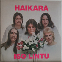 Haikara: Iso lintu