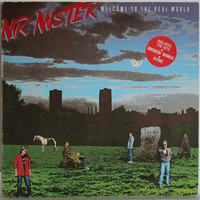 Mr. Mister: Welcome To The Real World