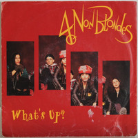 4 Non Blondes: Whats Up?