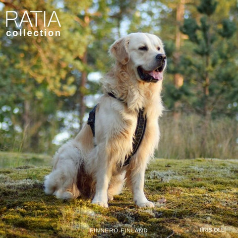Finnero Ratia 8-shape valjas 50 cm, musta
