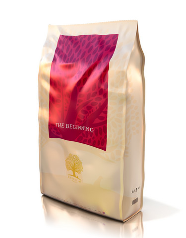 Essential THE BEGINNING, pennuille 12 kg
