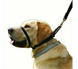 Canny Collar vedonestopanta koko 2