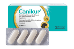 Canikur® tabletit 12 kpl