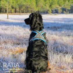Finnero Ratia 8-shape valjas 60 cm, sininen