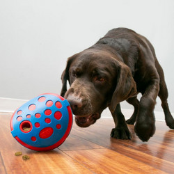 KONG Rewards Wally aktivointilelu M/L 22 cm