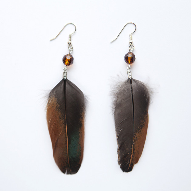 Ringneck and Golden Pheasant Feather Earrings – Crystal Works Austin