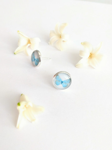 Butterflies -stud earrings, light blue