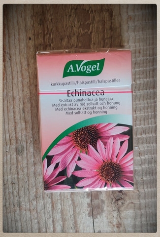 A.Vogel Echinacea 30 g kurkkupastilli