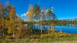 Kesän suunnitelmat 2022