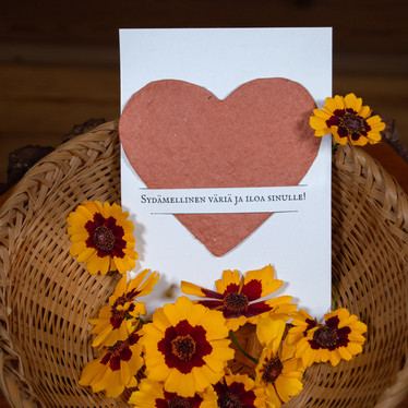 Värjärin sydän - istutettava postikortti värikasvien siemenillä