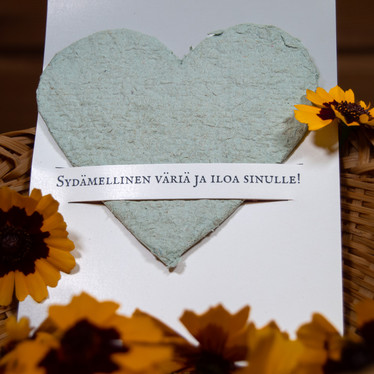 Värjärin sydän - istutettava postikortti värikasvien siemenillä