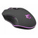 WHITE SHARK CYRUS PELIHIIRI 6B LED 3200