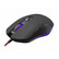 WHITE SHARK CYRUS PELIHIIRI 6B LED 3200