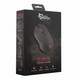 WHITE SHARK CYRUS PELIHIIRI 6B LED 3200