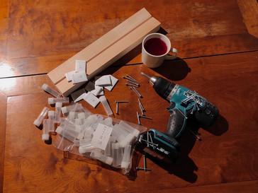 Ötökkäpuodin avajaiset