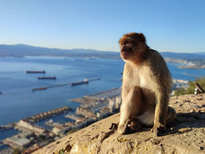 Gibraltar – Retkikertomus