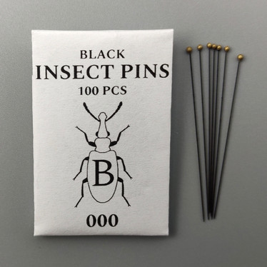 BLACK INSECT PINS