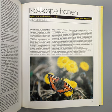 SUOMEN PÄIVÄPERHOSET
