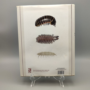 MÅNGFOTINGAR - MYRIAPODA