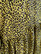 FLIRTY - DRESS PUFF-SLEEVE, YELLOW LEO