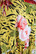 LUSH- DRESS PUFF SLEEVES, YELLOW FLOWER