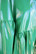 LUSH- PVC COAT, GREEN