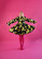 DISHY- DRESS, LEMON DREAM