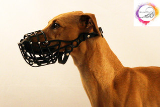 Whippet muovikoppa DMAC300, keinonahkapehmusteella
