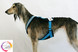 HoundOnLine -valjaat ja lukoton grip-talutin heijastinraidalla 200cm