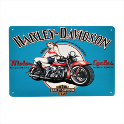 Peltikyltti, Harley Davidson