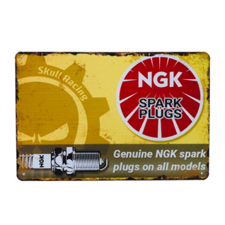 Peltikyltti, Ngk