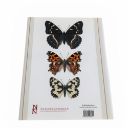 Nationalnyckeln, Fjärilar: Dagfjärilar, Hesperiidae - Nymphalidae