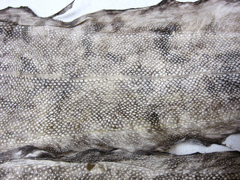 Mateennahka,  rasva parkittu, pituus 25-30cm