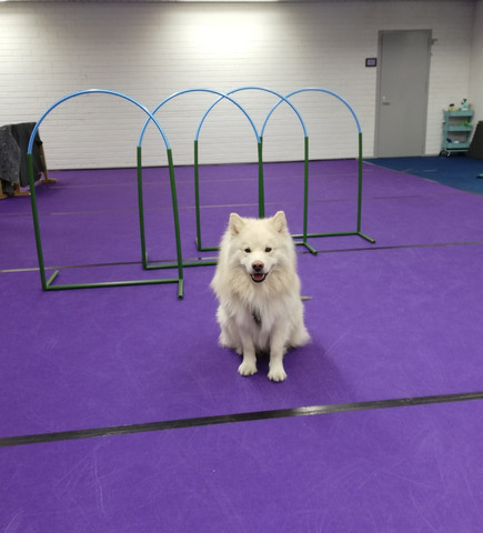Hoopers täsmävuoro Pe 9.6. klo 19.00-19.30