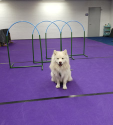 Hoopers täsmävuoro Pe 8.12. klo 18.00 -18.30