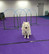 Hoopers kurssi (4krt) 6.10.2023 Pe klo 18.00-18.30 vuoro