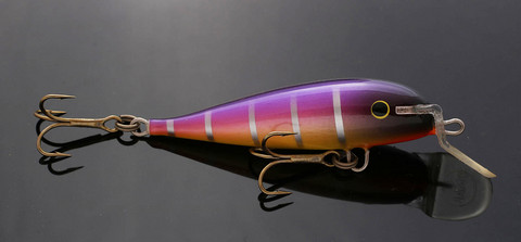 Purpleback